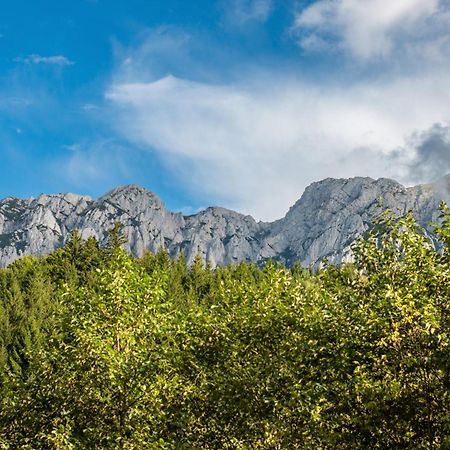 Resort 7 Crai - Cabana Tamas Зэрнешти Экстерьер фото